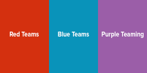 Red Teams, Blue Teams, Purple Teaming